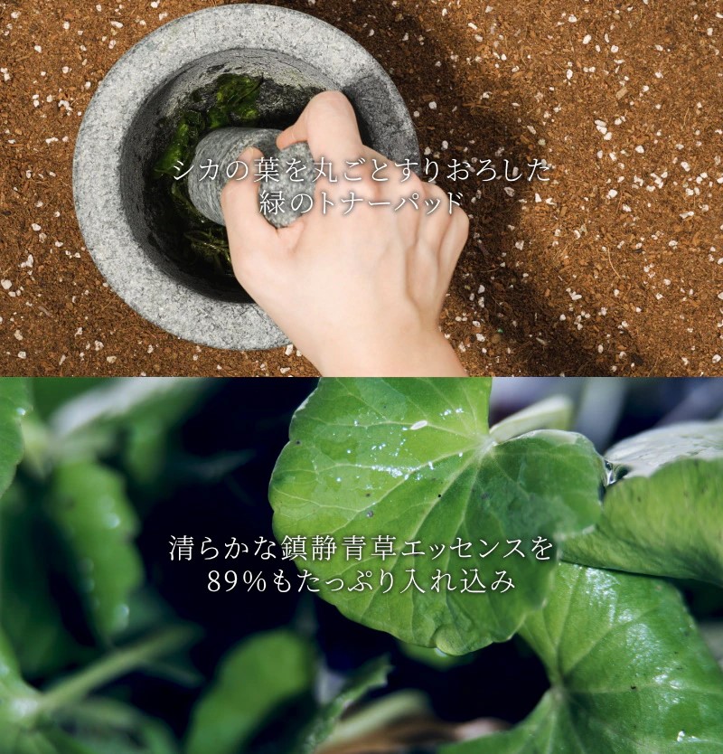 トナーパットまとめ売り 合計140枚】 numbuzin トナーパッド 詰め替えセット (全3種) | OLIVE